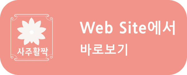 Web App